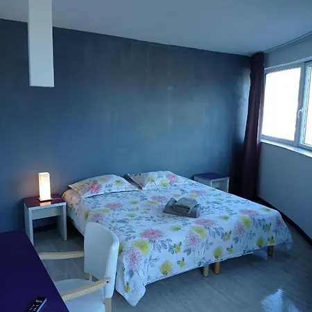 Vue Montagne Appartement Lourdes